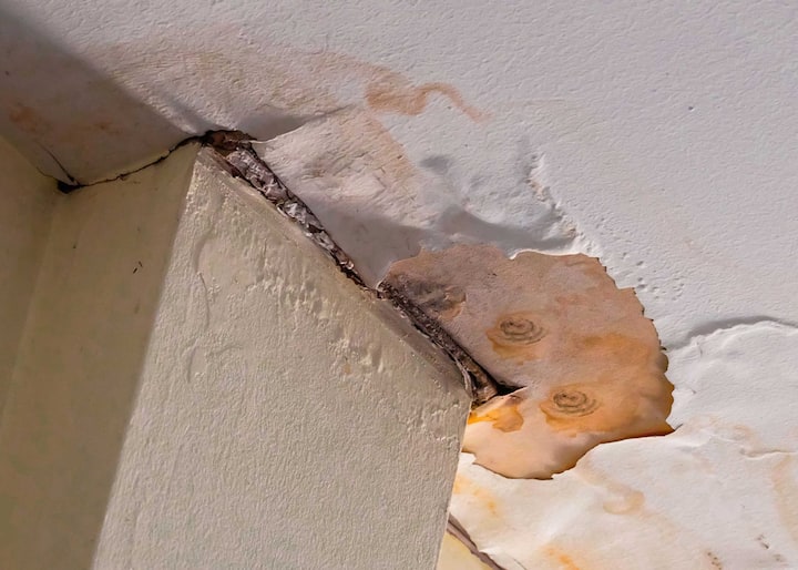 Water-Damage-Mold-Removal-scaled-1 water damage restoration boynton beach